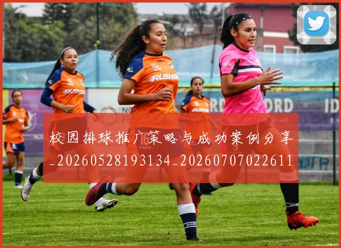校园排球推广策略与成功案例分享_20260528193134_20260707022611