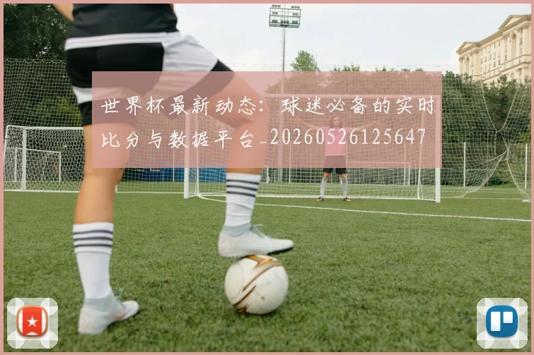世界杯最新动态：球迷必备的实时比分与数据平台_20260526125647